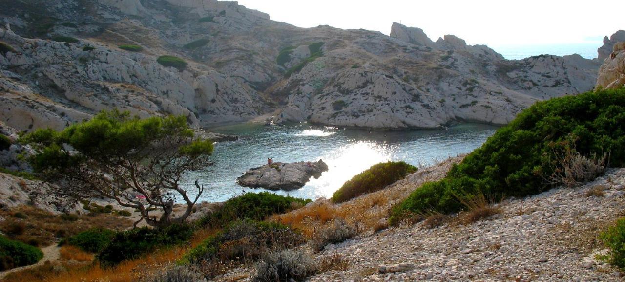 Les Pieds Dans L'Eau Sur L'Ile Du Frioul Apartment Marseille Bagian luar foto